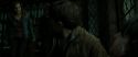 RdM2-Potterish_08101.jpg