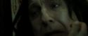 RdM2-Potterish_08135.jpg