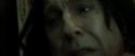 RdM2-Potterish_08136.jpg