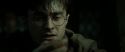 RdM2-Potterish_08138.jpg