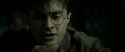 RdM2-Potterish_08139.jpg