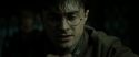 RdM2-Potterish_08143.jpg