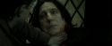 RdM2-Potterish_08158.jpg
