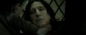 RdM2-Potterish_08159.jpg