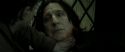 RdM2-Potterish_08161.jpg