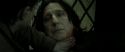 RdM2-Potterish_08162.jpg