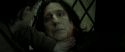 RdM2-Potterish_08163.jpg