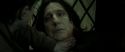 RdM2-Potterish_08165.jpg