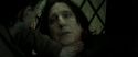 RdM2-Potterish_08166.jpg