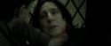 RdM2-Potterish_08168.jpg