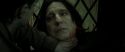 RdM2-Potterish_08171.jpg