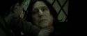 RdM2-Potterish_08172.jpg
