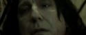 RdM2-Potterish_08184.jpg
