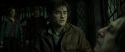 RdM2-Potterish_08207.jpg