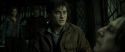 RdM2-Potterish_08208.jpg