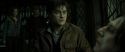 RdM2-Potterish_08209.jpg