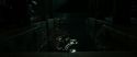 RdM2-Potterish_08216.jpg