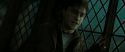 RdM2-Potterish_08243.jpg