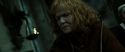 RdM2-Potterish_08268.jpg