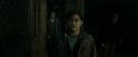 RdM2-Potterish_08303.jpg
