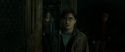 RdM2-Potterish_08304.jpg