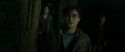 RdM2-Potterish_08309.jpg