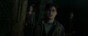 RdM2-Potterish_08312.jpg