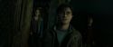 RdM2-Potterish_08314.jpg