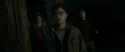RdM2-Potterish_08329.jpg