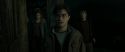 RdM2-Potterish_08331.jpg