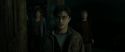 RdM2-Potterish_08332.jpg