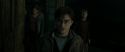 RdM2-Potterish_08334.jpg