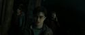 RdM2-Potterish_08360.jpg