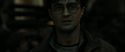 RdM2-Potterish_08494.jpg