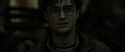 RdM2-Potterish_08495.jpg
