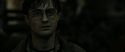 RdM2-Potterish_08497.jpg