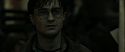 RdM2-Potterish_08498.jpg