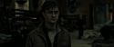 RdM2-Potterish_08532.jpg