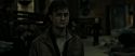 RdM2-Potterish_08533.jpg