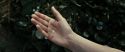 RdM2-Potterish_08718.jpg