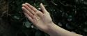 RdM2-Potterish_08721.jpg