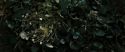 RdM2-Potterish_08733.jpg