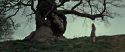 RdM2-Potterish_08742.jpg