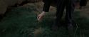 RdM2-Potterish_08759.jpg