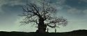 RdM2-Potterish_08776.jpg