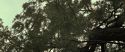 RdM2-Potterish_08809.jpg
