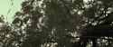 RdM2-Potterish_08810.jpg