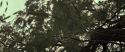 RdM2-Potterish_08811.jpg