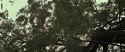 RdM2-Potterish_08812.jpg