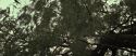 RdM2-Potterish_08813.jpg